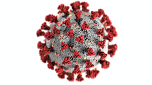 Coronavirus in wastewater: what do the analyses tell us?